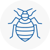 Bed Bug Extermination In Shooters Hill
