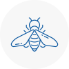 Bee Nest Removal Shooters Hill