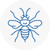 Shooters Hill Hornet Nest Removals