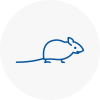 Mice Exterminators In Shooters Hill