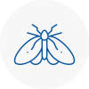 Moth Control Specialists In Shooters Hill