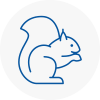 Shooters Hill Rodent Removals